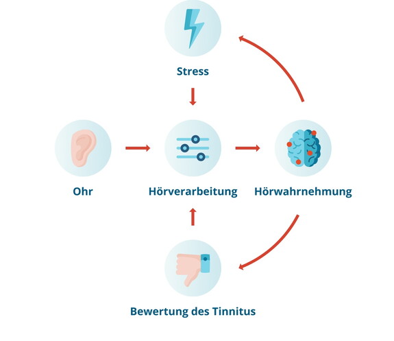 Teufelskreis Tinnitus: Das Ohrgeräusch löst Stress aus, wodurch sich der Tinnitus verschlimmert.